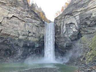 B3BB7350-7A07-4AC1-A6C1-083E107763DB.jpeg B3BB7350-7A07-4AC1-A6C1-083E107763DB.jpeg