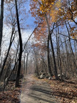 B26CC64F-8F53-4F09-A49C-D48A92834868.jpeg B26CC64F-8F53-4F09-A49C-D48A92834868.jpeg