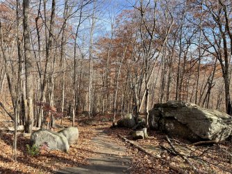 C7C6CF06-C7C3-4D30-9C3C-7B353851D055.jpeg C7C6CF06-C7C3-4D30-9C3C-7B353851D055.jpeg