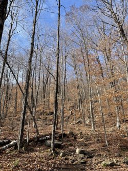 1B01EF2B-7416-407E-ABEB-956328C6661F.jpeg 1B01EF2B-7416-407E-ABEB-956328C6661F.jpeg