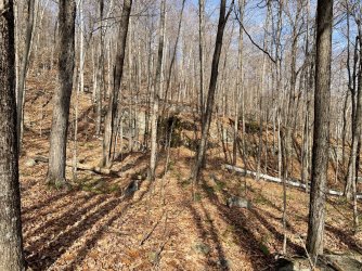 21399045-B6B0-4CBF-AAEA-2EAD072B9667.jpeg 21399045-B6B0-4CBF-AAEA-2EAD072B9667.jpeg