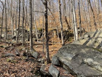 86BB2F79-B18B-4029-A134-101D970EC1D6.jpeg 86BB2F79-B18B-4029-A134-101D970EC1D6.jpeg