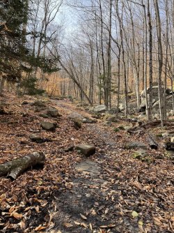 9FEC727B-6E16-482D-A759-2067409C69B1.jpeg 9FEC727B-6E16-482D-A759-2067409C69B1.jpeg