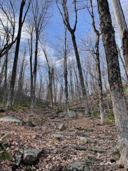 6FBFAB82-EC6F-4DDB-9955-B935A6C64175.jpeg 6FBFAB82-EC6F-4DDB-9955-B935A6C64175.jpeg