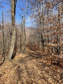 5AB2E6C5-8E60-450B-94A8-3E3234E9ED24.jpeg 5AB2E6C5-8E60-450B-94A8-3E3234E9ED24.jpeg