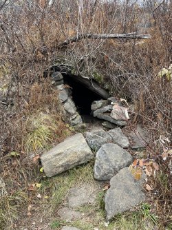 D298A6EA-1FFA-4FC7-9F08-3C64FA46C092.jpeg D298A6EA-1FFA-4FC7-9F08-3C64FA46C092.jpeg