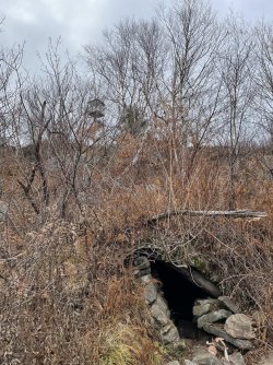 F3B7C188-C05D-4A83-8120-F24DE1DB09B9.jpeg F3B7C188-C05D-4A83-8120-F24DE1DB09B9.jpeg