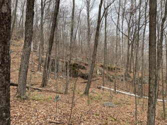 BFB23A92-761F-4008-8144-2DC6750267EB.jpeg BFB23A92-761F-4008-8144-2DC6750267EB.jpeg