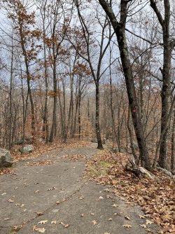 73A44E8E-3826-4907-BD73-7A586DCA7173.jpeg 73A44E8E-3826-4907-BD73-7A586DCA7173.jpeg