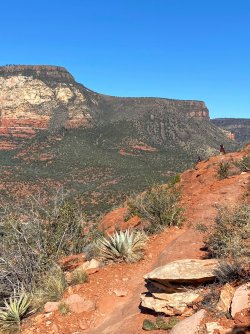 1944034D-DE5A-419C-A13D-7AEA8BA4C00A.jpeg 1944034D-DE5A-419C-A13D-7AEA8BA4C00A.jpeg