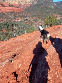 AE2BAE7D-8279-45AB-A600-52B1E7A59291.jpeg AE2BAE7D-8279-45AB-A600-52B1E7A59291.jpeg