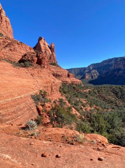 1BFA63AF-24BF-48BD-843F-5FB3EA31FE79.jpeg 1BFA63AF-24BF-48BD-843F-5FB3EA31FE79.jpeg