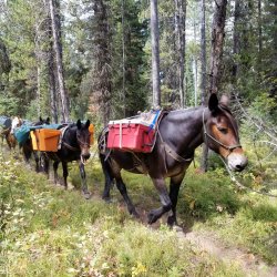 20210904_121632.jpg 20210904_121632.jpg