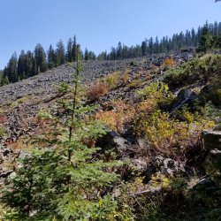 20210904_133203.jpg 20210904_133203.jpg