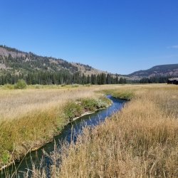 20210904_140111.jpg 20210904_140111.jpg