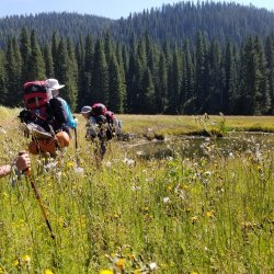 20210904_140850.jpg 20210904_140850.jpg