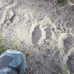 20210905_070417.jpg 20210905_070417.jpg