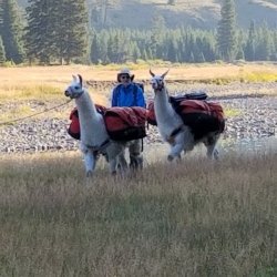 20210905_075752.jpg 20210905_075752.jpg