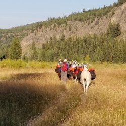 20210905_080046.jpg 20210905_080046.jpg