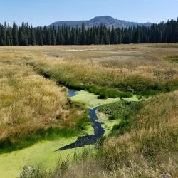 20210905_115432.jpg 20210905_115432.jpg