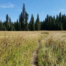 20210905_120557.jpg 20210905_120557.jpg