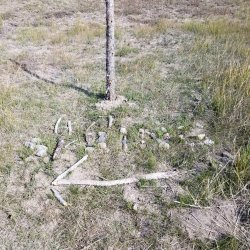 20210906_104850.jpg 20210906_104850.jpg