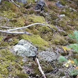 20210906_111423.jpg 20210906_111423.jpg