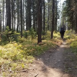 20210906_131450.jpg 20210906_131450.jpg