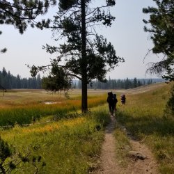 20210906_131723.jpg 20210906_131723.jpg