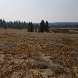 20210906_132815.jpg 20210906_132815.jpg