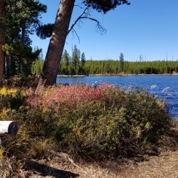 20210925_132704.jpg 20210925_132704.jpg