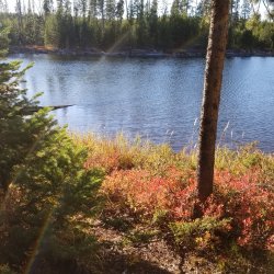 20210925_173506.jpg 20210925_173506.jpg