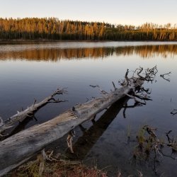 20210925_185833.jpg 20210925_185833.jpg