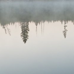 20210926_071119.jpg 20210926_071119.jpg