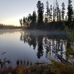 20210926_072452.jpg 20210926_072452.jpg