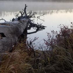 20210926_072731.jpg 20210926_072731.jpg