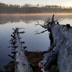 20210926_073140.jpg 20210926_073140.jpg