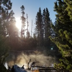 20210926_082001.jpg 20210926_082001.jpg