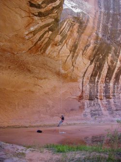 P5080017.JPG P5080017.JPG