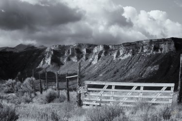 RCM02003- 9-2021-210919-32.jpg