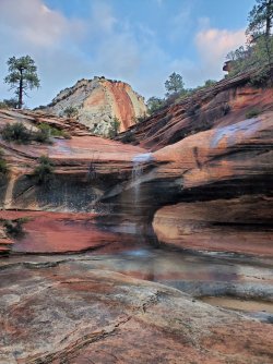 20211026_075337.jpg 20211026_075337.jpg