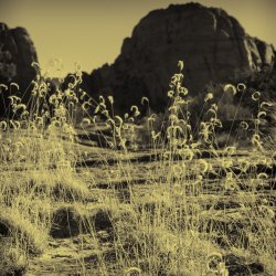 RCM04433-2021-211126-2 - Copy.jpg