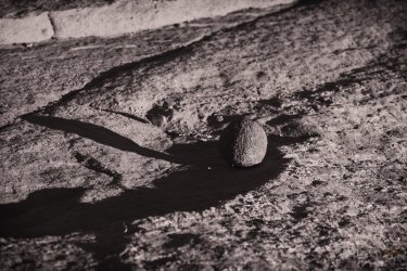 RCM04907- 11-2021-211127-26.jpg