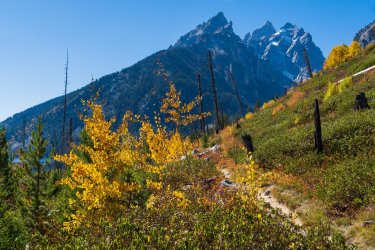 RCM03717-Grand Tetons 9-10 2021-211003-10.jpg