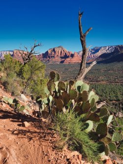 6D9464C3-3407-4F98-A017-7E2890194F34.jpeg 6D9464C3-3407-4F98-A017-7E2890194F34.jpeg