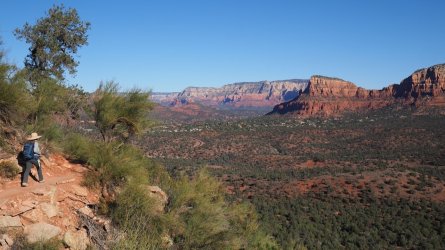 C275E715-3F07-4814-BDDD-B0FB4C0784DF.jpeg C275E715-3F07-4814-BDDD-B0FB4C0784DF.jpeg