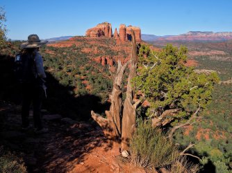 FF4C6522-C33E-4D25-9982-2B85185C6B72.jpeg FF4C6522-C33E-4D25-9982-2B85185C6B72.jpeg