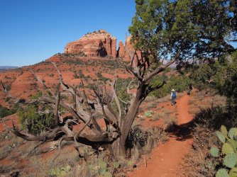 D663C1E3-FCBE-4D42-98FB-60059282B5DF.jpeg D663C1E3-FCBE-4D42-98FB-60059282B5DF.jpeg