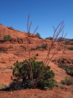 3029A03A-A8FF-4123-A56E-EA9E805A1CE9.jpeg 3029A03A-A8FF-4123-A56E-EA9E805A1CE9.jpeg