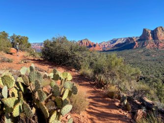 ACB91A40-F9D6-4A38-AE78-76810141EFEB.jpeg ACB91A40-F9D6-4A38-AE78-76810141EFEB.jpeg